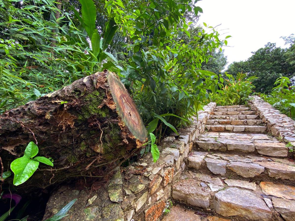 Hotel La Aldea Del Halach Huinic Palenque Extérieur photo