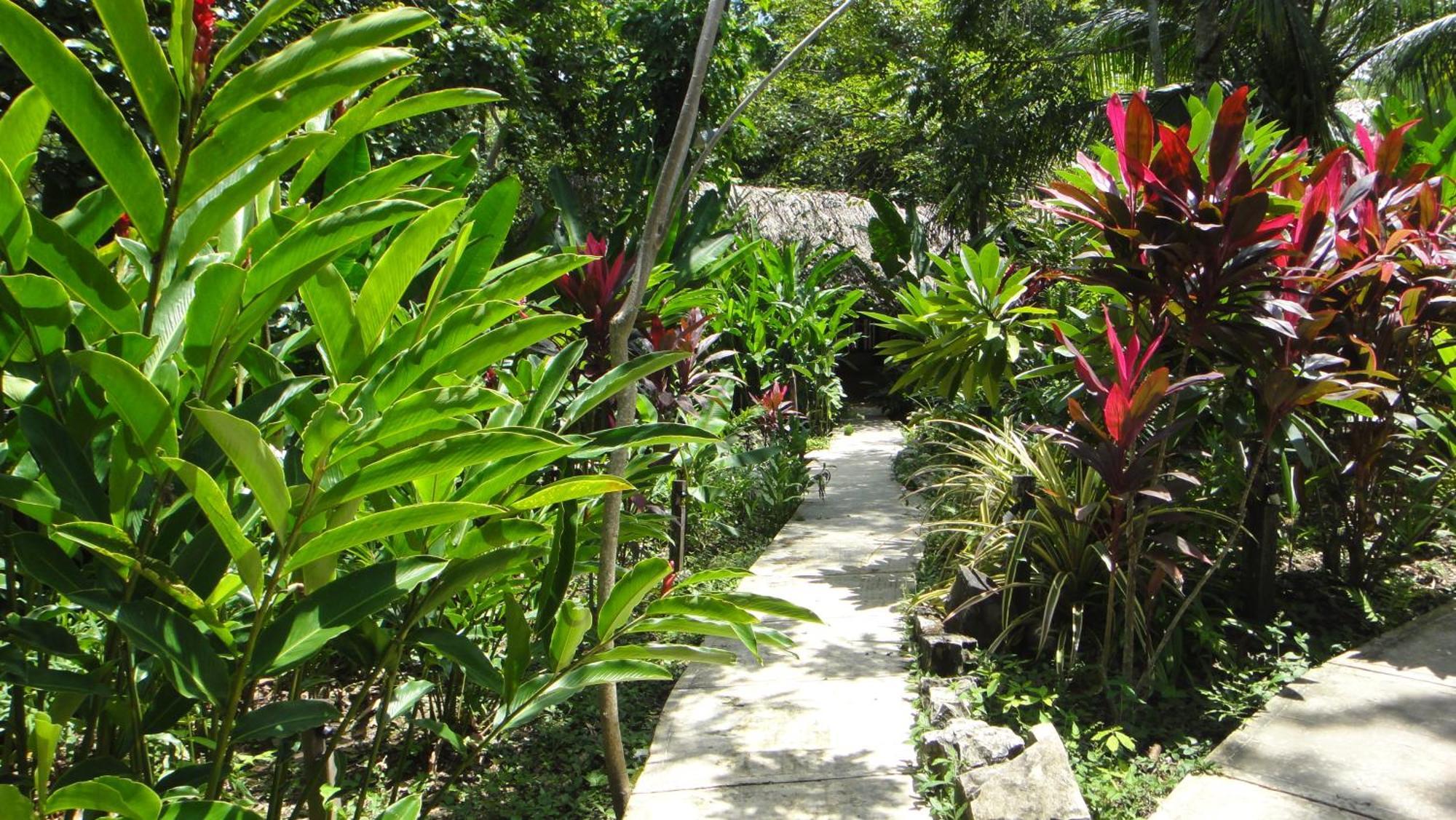 Hotel La Aldea Del Halach Huinic Palenque Extérieur photo